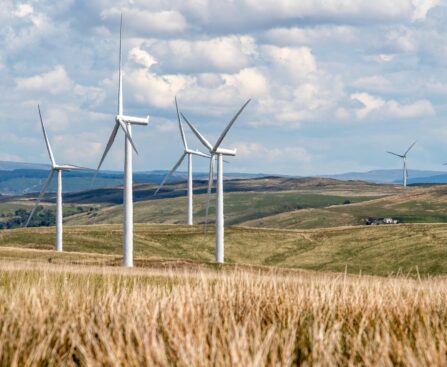 wind energy, wind farm, wind turbines, windmills, countryside, renewable energy, clean energy, wind energy, wind energy, wind energy, wind farm, wind farm, wind farm, wind turbines, wind turbines, renewable energy, renewable energy, renewable energy, renewable energy, renewable energy, clean energy, clean energy, clean energy
