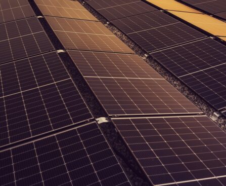 solar, panels, solar energy, solar panels, energy, power, generation, device, solar, solar, solar energy, solar panels, solar panels, solar panels, solar panels, solar panels