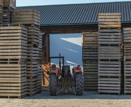 Red tractor positioned among towering stacks of wooden pallets outside a warehouse.